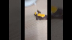 Маша и медведь ловись рыбка серия 50067