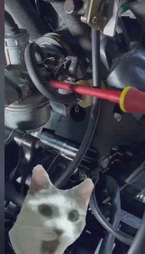 Будет дикая мощь!