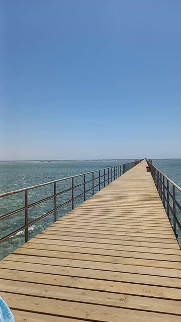 Любуемся морем