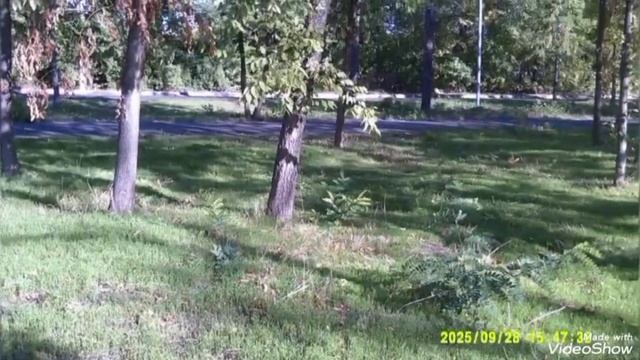 Мариуполь ⛵ сегодня 🏗️🏢🌊 смотреть онлайн