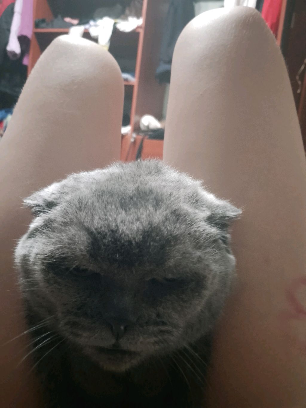 видос смотреть онлайн