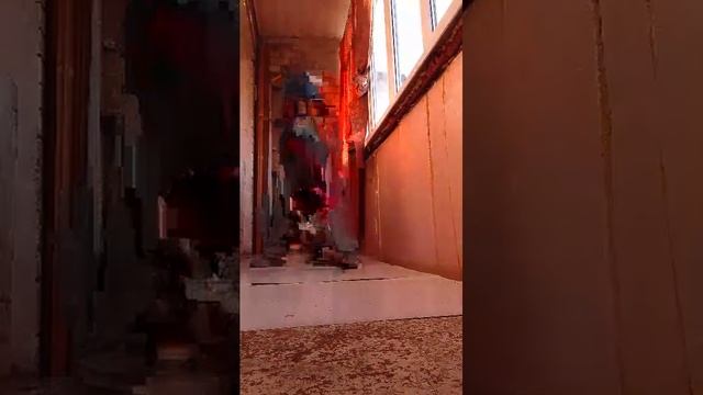 сплю смотреть онлайн