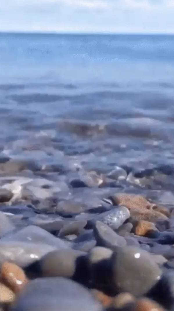 Если кто-то ... смотреть онлайн