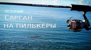 Осенний САРГАН | Ловля на Пилькеры | ЧЕРНОЕ МОРЕ