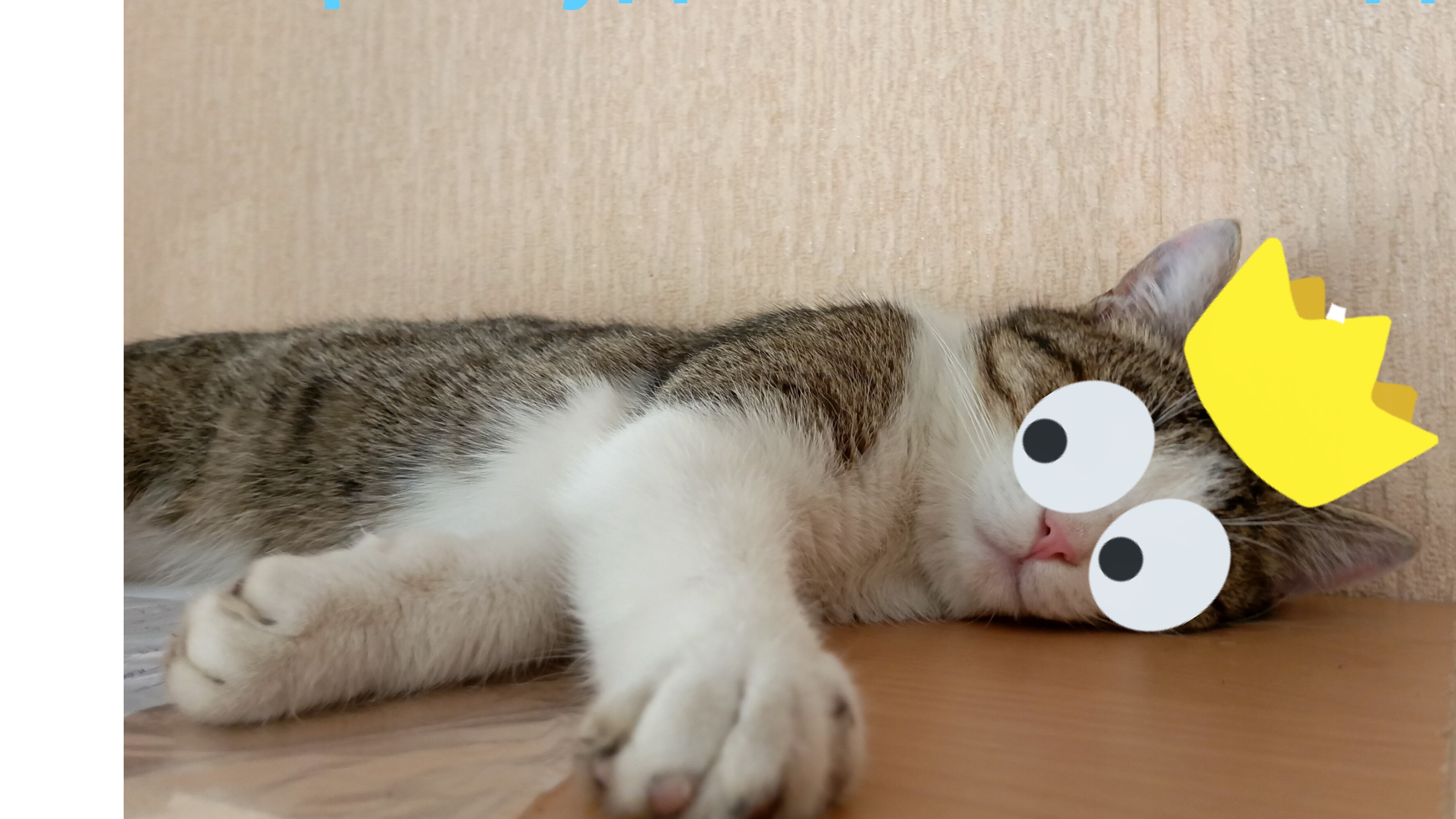 играю в 99 ночей