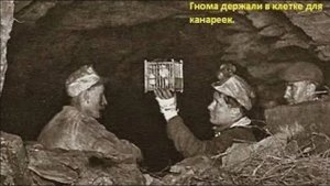 Рудокопы Урала в 1719 году поймали гнома и подарили Демидову