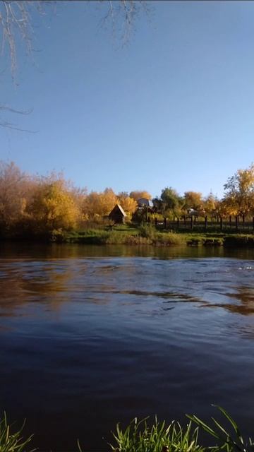 заплыв смотреть онлайн