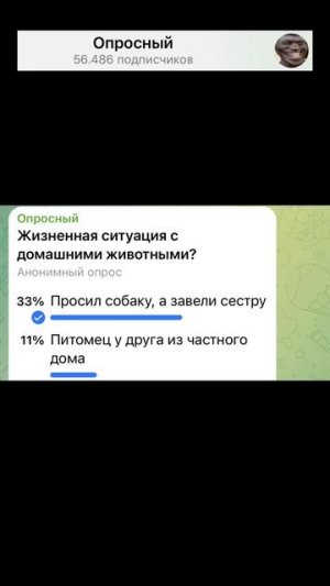 Жизненная ситуация с домашними животными?