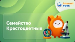 Биология 6 класс. Семейство Крестоцветные