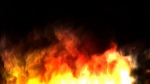 Tryptology - Peace Therapy