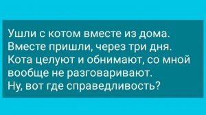 Анекдоты! Лиса соблазнила Зайца! Сборник Веселых Анекдотов! Юмор