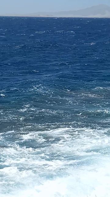 Красное море в Египте