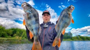 ГОТОВЬТЕ ВАЛИДОЛ! ЭТО БЫКИ, а НЕ ОКУНИ! Рыбалка о которой давно мечтал!