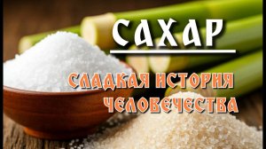Сахар. Сладкая история человечества. Кто и когда придумал сахар