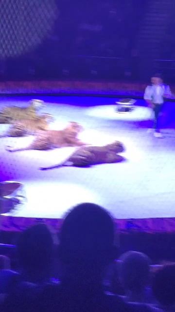 мы в цирке часть незнамо какая смотреть онлайн