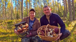 Я ЗАВИДУЮ САМ СЕБЕ,СКАЗОЧНЫЕ БОРОВИКИ В ОСЕННЮЮ ПОРУ, ГРИБНИКИ ПРОСТО В ШОКЕ, ОДИН КРАСИВЕЙ ДРУГОГО