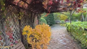 Прогулка по саду мечты.Покупки растений для сада в деревне.Переделки в саду.