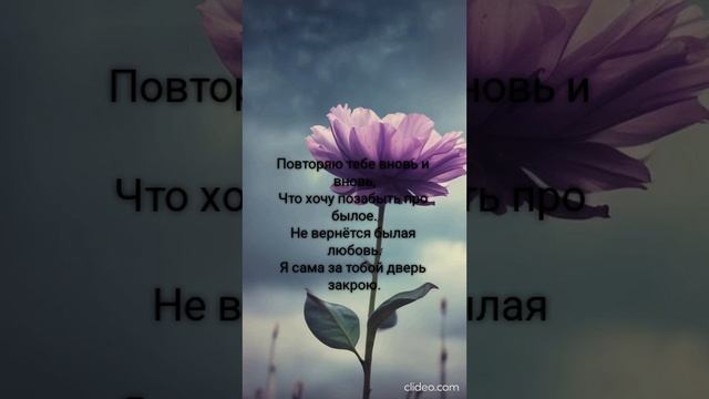 БОГ С ТОБОЙ!.. (ПЕСНИ SUNO)