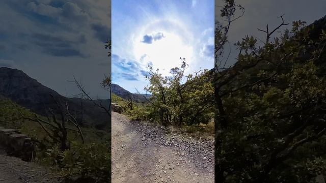 В Приветное