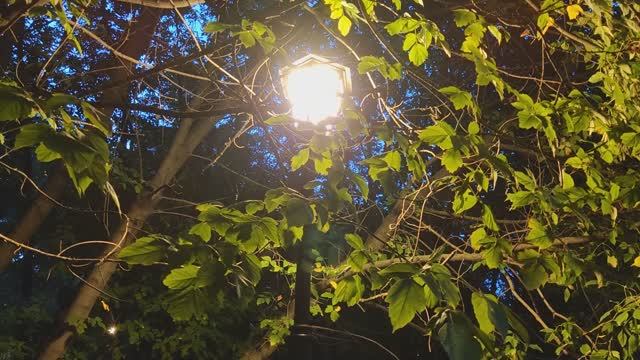 Черкизовский пруд в Москве