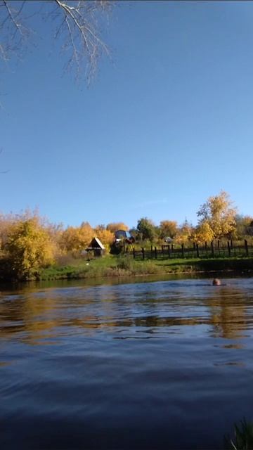 плавание смотреть онлайн