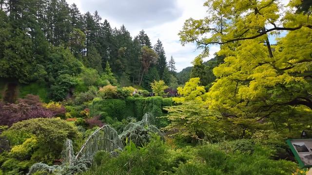 Канада. Прогулка в ботанических Садах Бутчартов в формате 4К смотреть онлайн