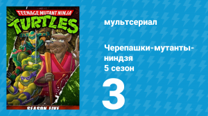 Черепашки-мутанты-ниндзя 5 сезон 3 серия (мультсериал, 1991)