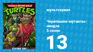 Черепашки-мутанты-ниндзя 5 сезон 13 серия (мультсериал, 1991)