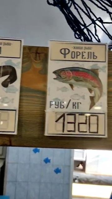 Цены на рыбу, которую выращивают на нашем водохранилище 🐟 смотреть онлайн