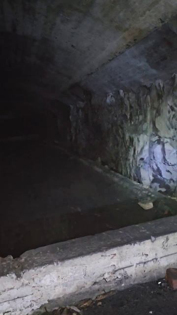 Карелия. Медвежьегорск. Финская тоннельная казарма Вичка. Karelia. Medvezhyegorsk смотреть онлайн