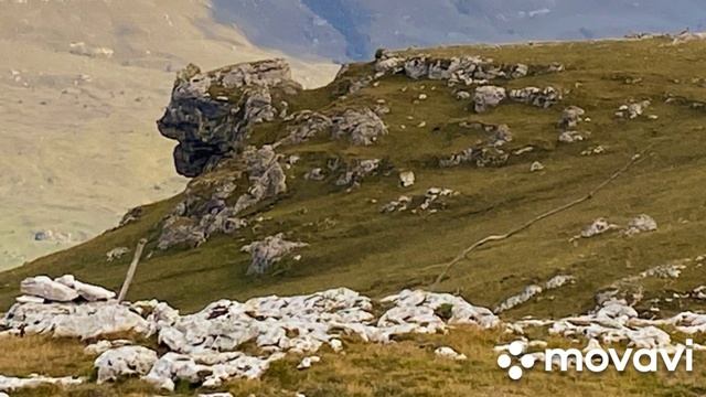 Веселые картинки Баранахи