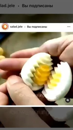 Яйцо+пружина=красота.👍