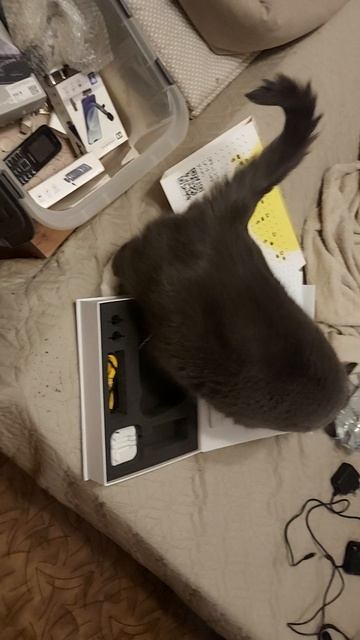 Помощница пытается залезть в ящик и сама навестить порядок там.