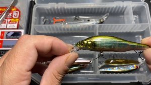 Перемены в коробках. Воблеры и оснастка для «джиг риг с тройником»