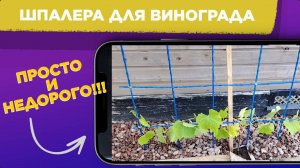 МОЯ ДАЧА / ШПАЛЕРА для винограда СВОИМИ РУКАМИ