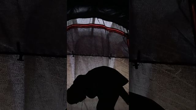 обзор на палатку 4 места двухкомнатную