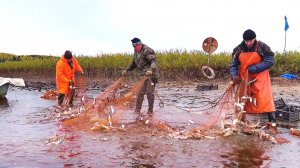 Ловля неводом 26 сентября 2025