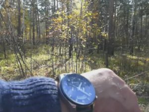 Ориентирование по стрелкам часов и Солнцу