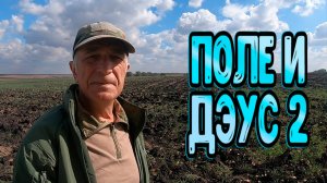 По выбитому полю с металлоискателем Дэус 2