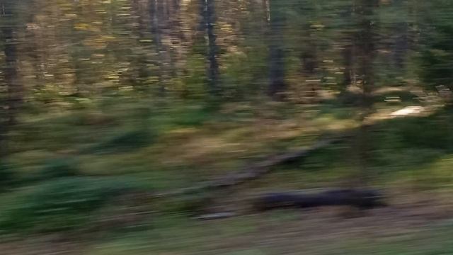 10677.mp4 смотреть онлайн