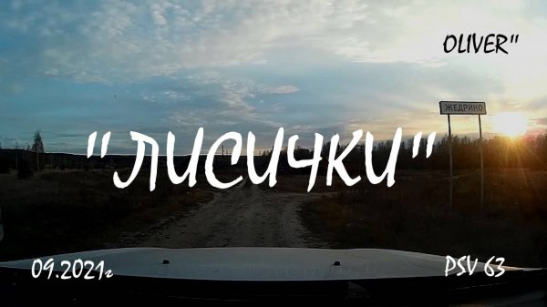 Лисички 2021г