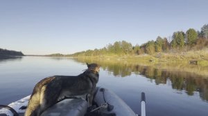 #ПРОМЫСЛОВИКИ ВЫПУСК 12 //ОХОТА НА СОБОЛЯ С СОБАКОЙ // ЗАБРОСКА НА НИВЕ ДО ПЕРВОЙ ИЗБЫ//