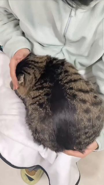 сори что не было видео оооочень долго, скоро на канале будет этому объяснение.......и скоро подарок