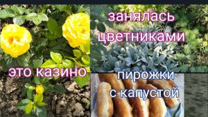 #93🌷На юге похолодало/Занялась цветниками/Пирожки с капустой