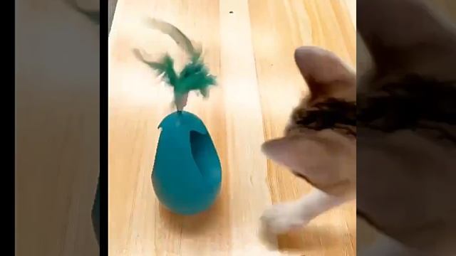игрушка для кошек 3