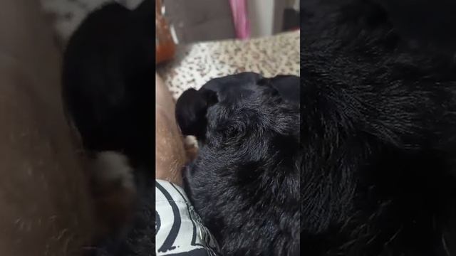 пппп(2 видео на канале)!!!!!