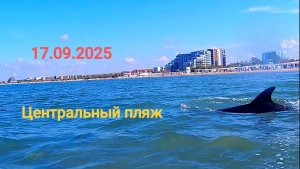 Анапа 17.09.2025 Центральный пляж Дельфины и Скаты