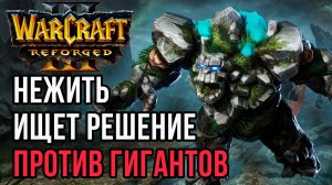 Нежить в поисках решения против Эльфов: Labyrinth (Ud) vs Colorful (Ne) Warcraft 3 Reforged