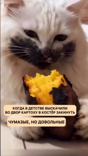 Вкусная картошечка