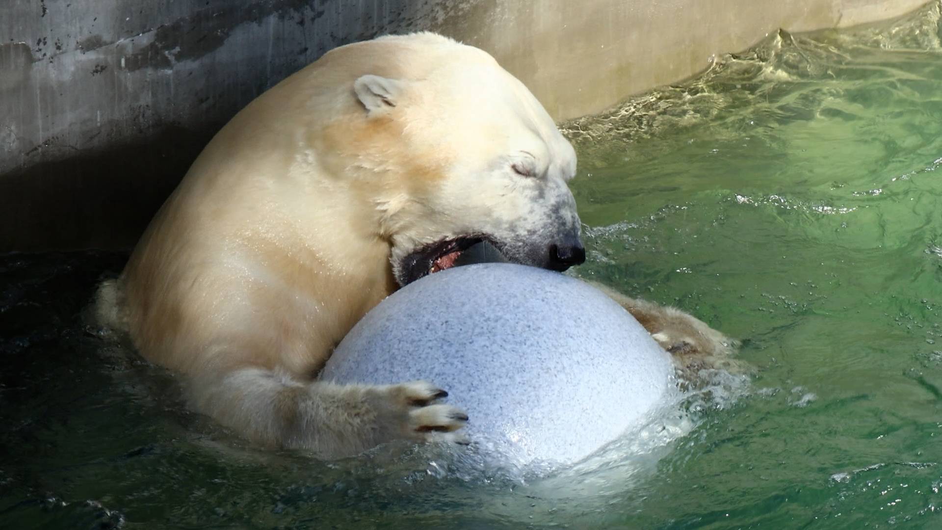 У Кая утренняя разминка с шаром смотреть онлайн